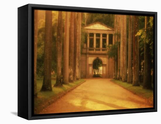 Botanical Garden, Rio de Janeiro, Brazil-null-Framed Stretched Canvas