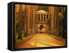 Botanical Garden, Rio de Janeiro, Brazil-null-Framed Stretched Canvas