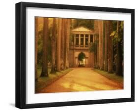 Botanical Garden, Rio de Janeiro, Brazil-null-Framed Photographic Print