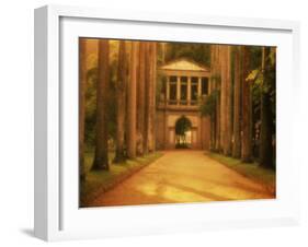 Botanical Garden, Rio de Janeiro, Brazil-null-Framed Photographic Print