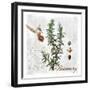 Botanical Garden Rosemary Herb-Tina Lavoie-Framed Giclee Print