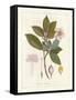 Botanical Gardenia v2-Wild Apple Portfolio-Framed Stretched Canvas