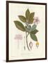 Botanical Gardenia v2-Wild Apple Portfolio-Framed Art Print