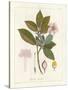 Botanical Gardenia v2-Wild Apple Portfolio-Stretched Canvas