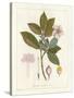 Botanical Gardenia v2-Wild Apple Portfolio-Stretched Canvas