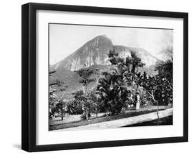 Botanical Gardens and Mount Corcovado, Rio De Janeiro, Brazil, 1893-John L Stoddard-Framed Giclee Print