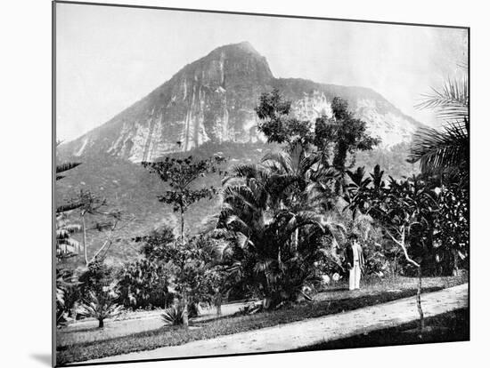 Botanical Gardens and Mount Corcovado, Rio De Janeiro, Brazil, 1893-John L Stoddard-Mounted Giclee Print