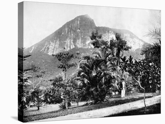 Botanical Gardens and Mount Corcovado, Rio De Janeiro, Brazil, 1893-John L Stoddard-Stretched Canvas