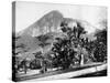 Botanical Gardens and Mount Corcovado, Rio De Janeiro, Brazil, 1893-John L Stoddard-Stretched Canvas