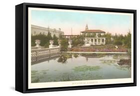 Botanical Gardens, Balboa Park, San Diego, California-null-Framed Stretched Canvas