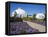 Botanical Gardens, Buffalo, New York State, United States of America, North America-Richard Cummins-Framed Stretched Canvas