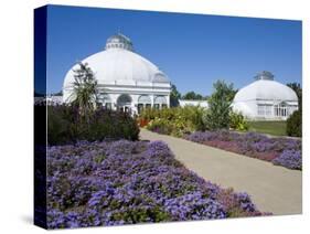 Botanical Gardens, Buffalo, New York State, United States of America, North America-Richard Cummins-Stretched Canvas