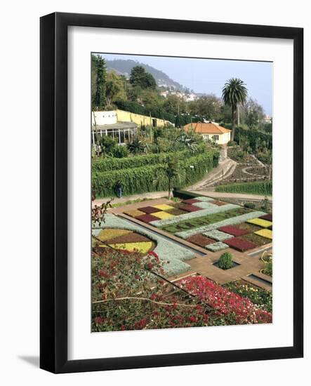 Botanical Gardens, Funchal, Madeira, Portugal-Peter Thompson-Framed Photographic Print