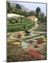 Botanical Gardens, Funchal, Madeira, Portugal-Peter Thompson-Mounted Photographic Print