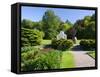 Botanical Gardens, Gothenburg, Sweden, Scandinavia, Europe-Robert Cundy-Framed Stretched Canvas