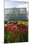 Botanical Gardens of the University of Tartu, Tartu, Estonia, Baltic States, Europe-Nico Tondini-Mounted Photographic Print