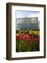 Botanical Gardens of the University of Tartu, Tartu, Estonia, Baltic States, Europe-Nico Tondini-Framed Photographic Print