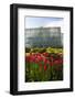 Botanical Gardens of the University of Tartu, Tartu, Estonia, Baltic States, Europe-Nico Tondini-Framed Photographic Print