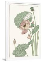 Botanical Gloriosa Lotus II-Melissa Wang-Framed Art Print