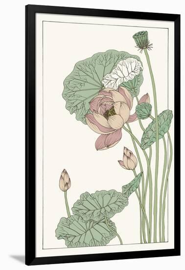 Botanical Gloriosa Lotus II-Melissa Wang-Framed Art Print