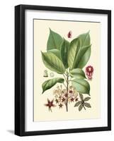 Botanical Glory I-Vision Studio-Framed Art Print