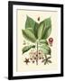 Botanical Glory I-Vision Studio-Framed Art Print