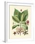 Botanical Glory I-Vision Studio-Framed Art Print