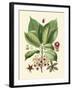 Botanical Glory I-Vision Studio-Framed Art Print