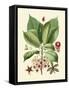 Botanical Glory I-Vision Studio-Framed Stretched Canvas