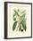 Botanical Glory II-Vision Studio-Framed Art Print