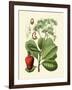 Botanical Glory V-Vision Studio-Framed Art Print