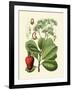 Botanical Glory V-Vision Studio-Framed Art Print