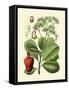 Botanical Glory V-Vision Studio-Framed Stretched Canvas