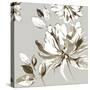 Botanical Gray I-Asia Jensen-Stretched Canvas