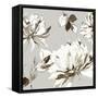 Botanical Gray II-Asia Jensen-Framed Stretched Canvas