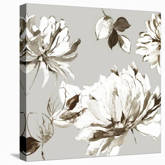 Botanical Gray II-Asia Jensen-Stretched Canvas