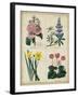 Botanical Grid III-Benjamin Maund-Framed Art Print