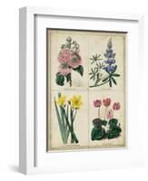 Botanical Grid III-Benjamin Maund-Framed Art Print