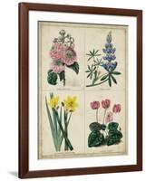 Botanical Grid III-Benjamin Maund-Framed Art Print