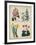 Botanical Grid III-Benjamin Maund-Framed Art Print