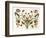 Botanical Hybrid II-Naomi McCavitt-Framed Art Print