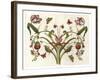 Botanical Hybrid II-Naomi McCavitt-Framed Art Print