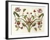 Botanical Hybrid II-Naomi McCavitt-Framed Art Print