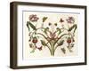 Botanical Hybrid II-Naomi McCavitt-Framed Art Print