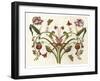 Botanical Hybrid II-Naomi McCavitt-Framed Art Print