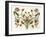 Botanical Hybrid II-Naomi McCavitt-Framed Art Print