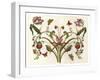 Botanical Hybrid II-Naomi McCavitt-Framed Art Print