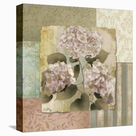 Botanical Hydrangeas-Elizabeth Medley-Stretched Canvas