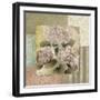 Botanical Hydrangeas-Elizabeth Medley-Framed Art Print