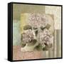 Botanical Hydrangeas-Elizabeth Medley-Framed Stretched Canvas